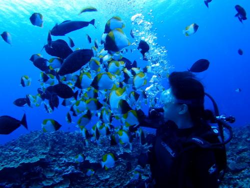 サイパン 体験ダイビング