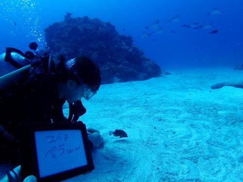 サイパン ダイビング