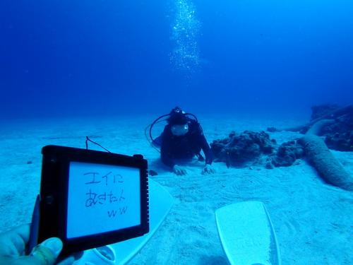 サイパン ダイビングライセンス