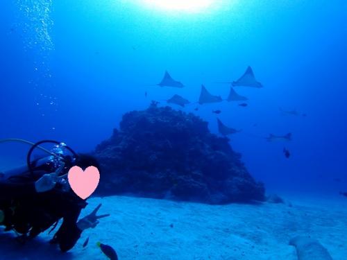 サイパン 島内観光