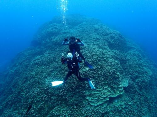 サイパン ダイビング