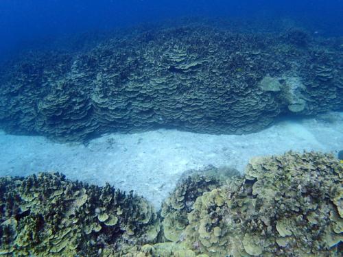 サイパン 島内観光