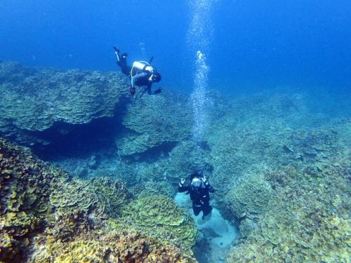 サイパン グロットシュノーケル
