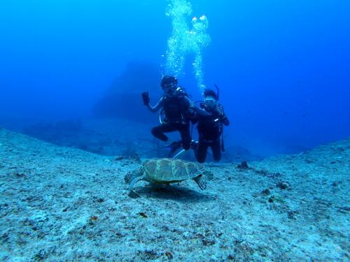 サイパン ダイビングライセンス