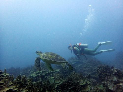 サイパン 体験ダイビング