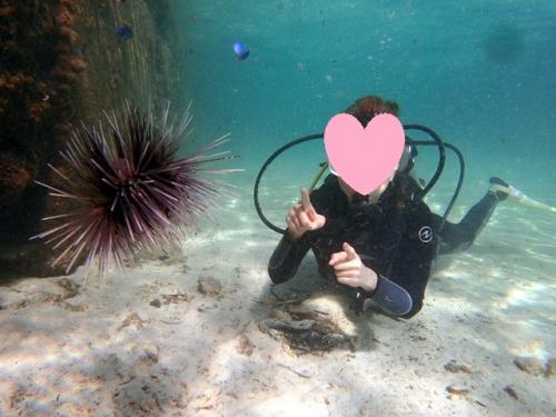 サイパン ダイビング