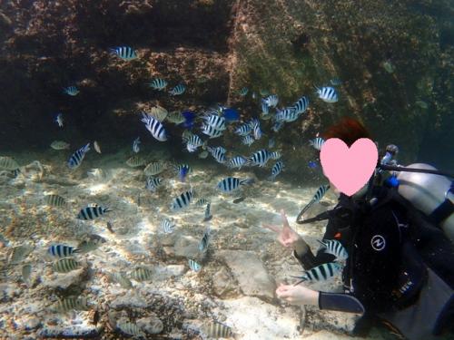 サイパン 体験ダイビング