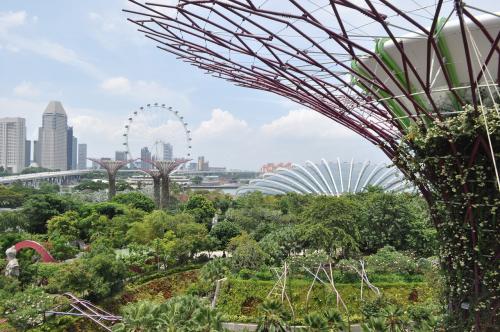 シンガポールフライヤー