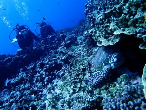 サイパン グロットシュノーケル