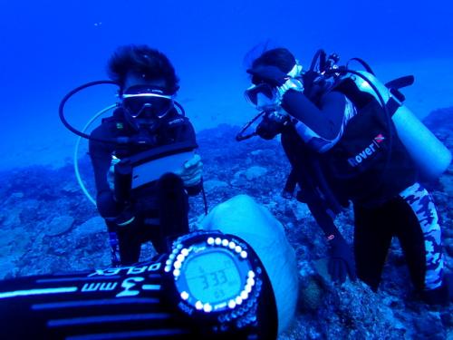 サイパン ダイビングライセンス