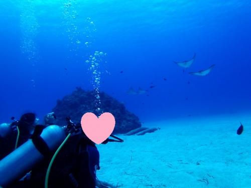 サイパン 島内観光