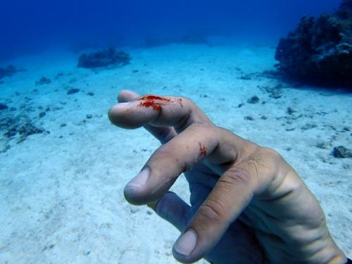 サイパン グロットシュノーケル