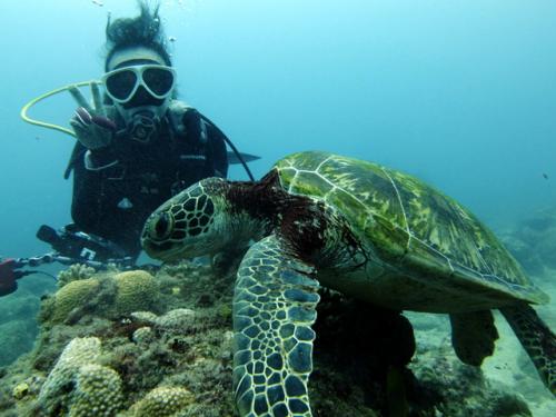 サイパン ダイビングショップ
