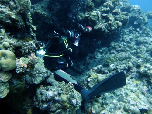 サイパン ダイビング