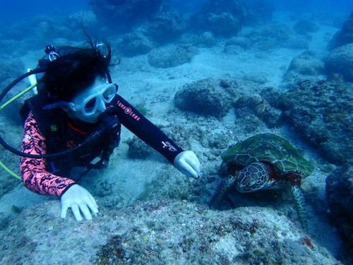 サイパン ダイビング