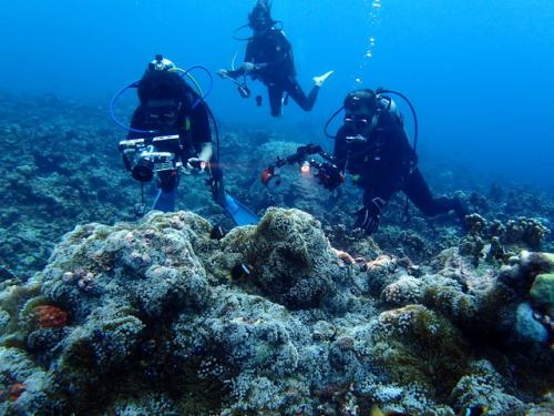 サイパン 島内観光