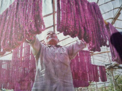 ティハールの準備4