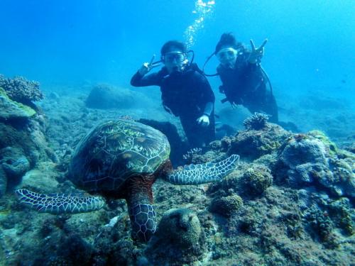 サイパン島内観光