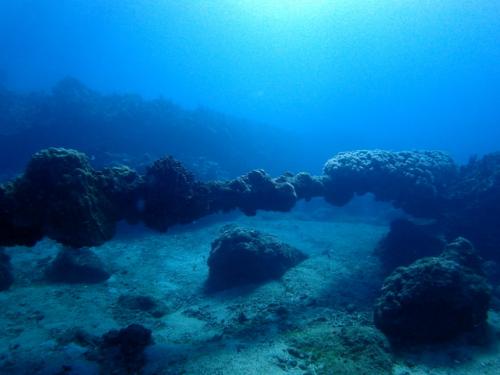 サイパンダイビングライセンス