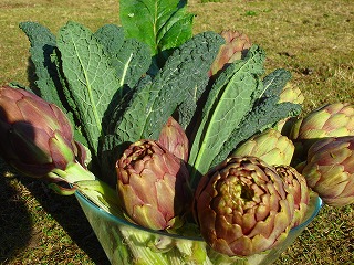 ローマナビ料理レッスン1