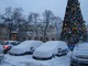 大雪のクリスマスツリー