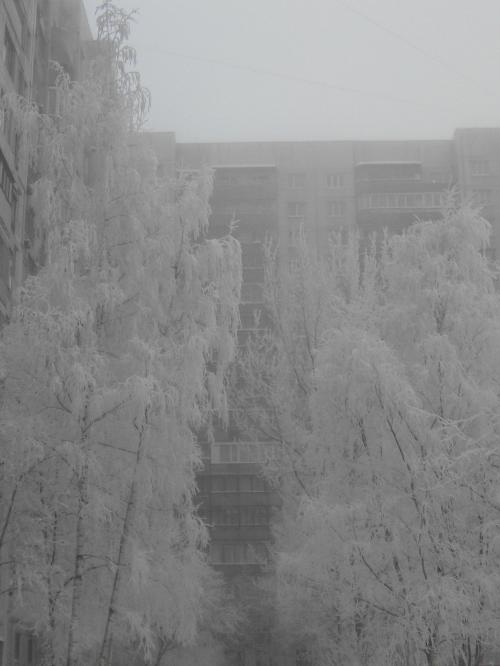 LEDの真っ白な世界