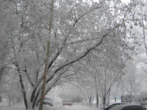 LEDスノーツリー