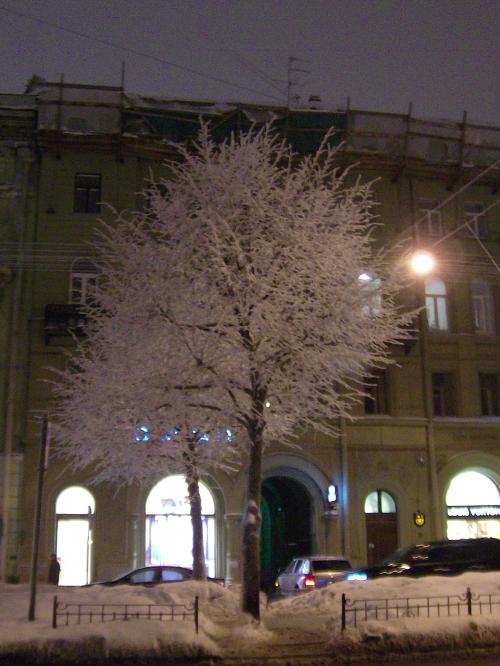 ロシアのクリスマス2