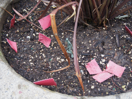世界で一番小さい公園3