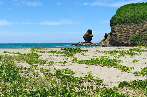 ロッシェペルセ