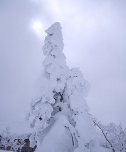 森吉山樹氷3
