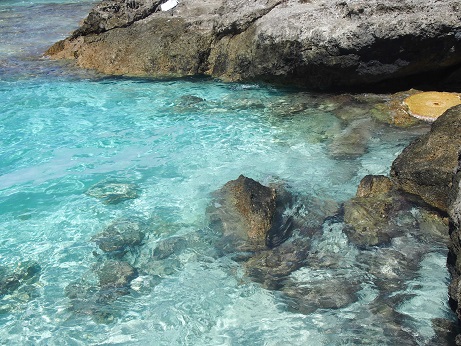 スイミングプール