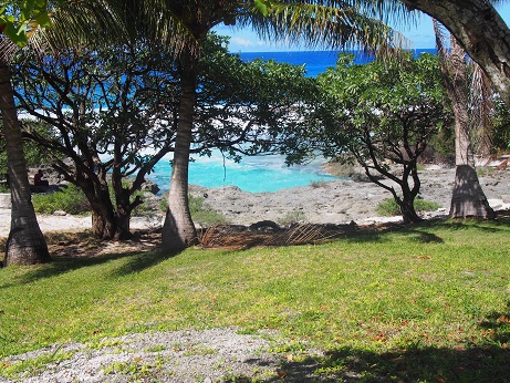 スイミングプール