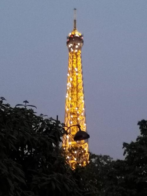 パリ祭 エッフェル塔1