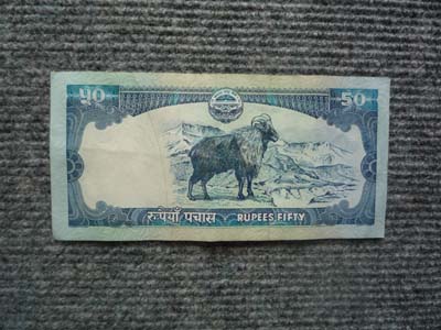 50ルピー ウラ