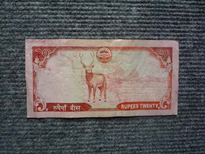 20ルピー ウラ
