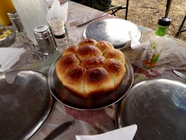 8モバイルサファリ8