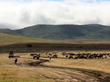 2クレーター内部