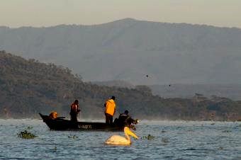 4ボートサファリ