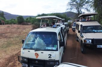 5ヒョウに群がる車