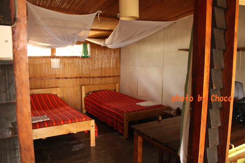 3キャンプのバンダ