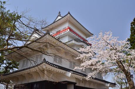 千秋公園桜まつり１