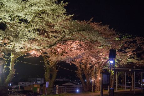巽山公園ライトアップ