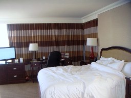 Hilton Hotel Room