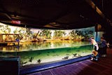 メルボルン水族館