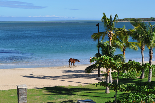 インターコンチネンタル