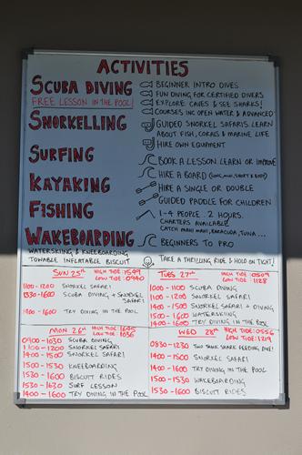 アクティビティ