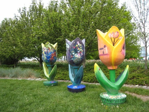 チューリップ模型