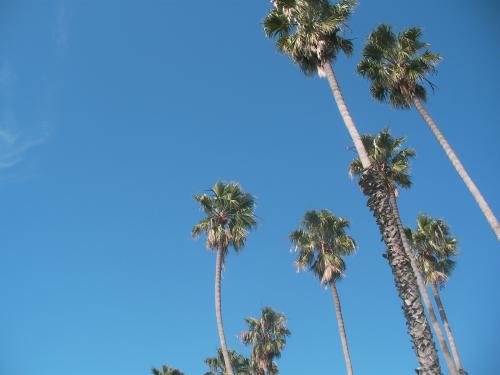 サンタバーバラ