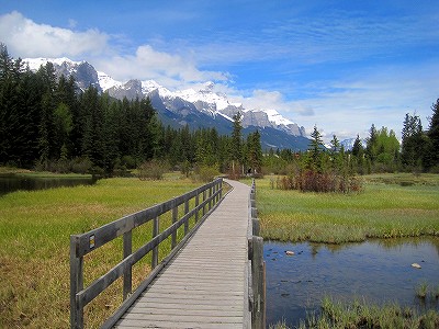 ポリスマンクリーク2